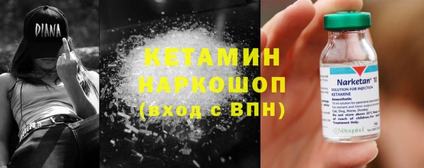 шишки Инсар