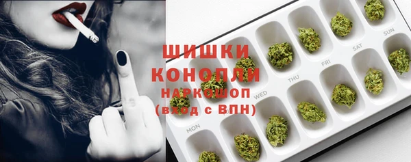 шишки Инсар