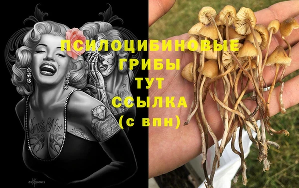 шишки Инсар