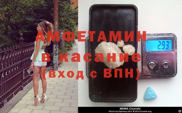 шишки Инсар