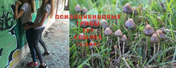 PSILOCYBIN Инта