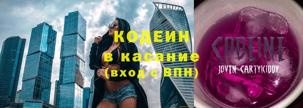 шишки Инсар