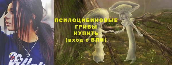 кокс Каменка