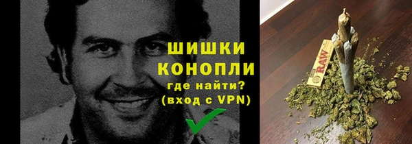 шишки Инсар