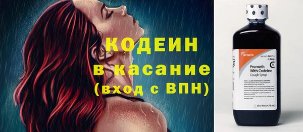шишки Инсар