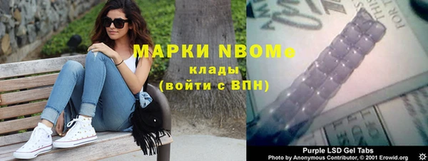 шишки Инсар