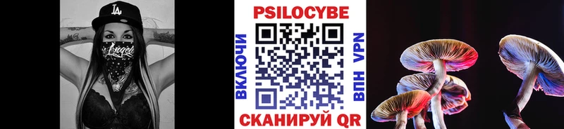 Купить где  Волгореченск  Галлюциногенные грибы Psilocybe 