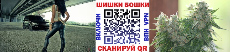Бошки марихуана THC 21%  Купить закладки  Волгореченск 